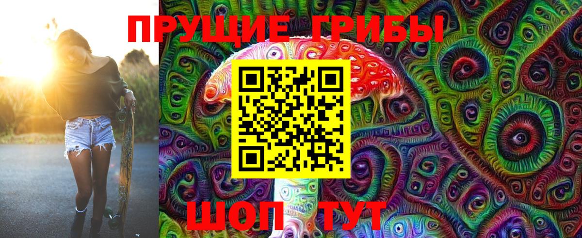 Псилоцибиновые грибы Psilocybine cubensis  Вход с VPN  Дивногорск 
